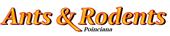 Poinciana Ant Exterminator & Rodent Control Company Logo